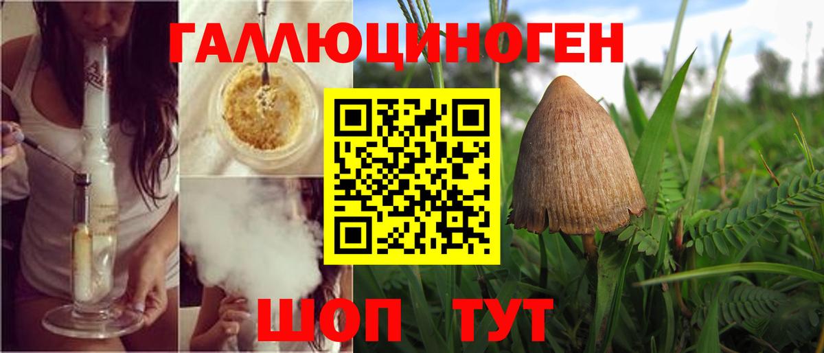Псилоцибиновые грибы мицелий Белогорск