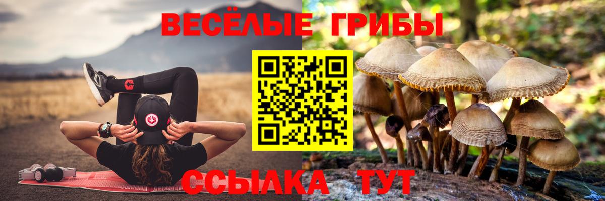 Галлюциногенные грибы Magic Shrooms  Вход с VPN  Псилоцибиновые грибы Magic Shrooms  Белогорск 